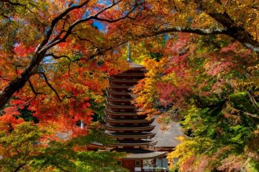 【写真】「大化の改新ゆかりの地」、談山神社の紅葉