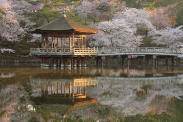 【写真】桜巡り奈良公園、浮見堂、東大寺