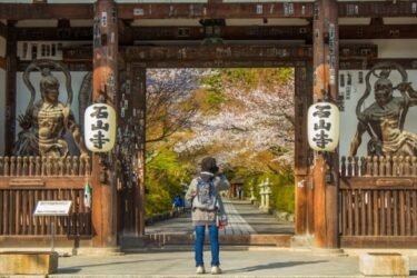 【写真】滋賀県石山寺の桜