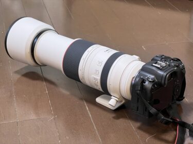 憧れるRFレンズ！Canon RF100-500mm F4.5-7.1L IS USMを5つの撮影シーンで実写レビュー
