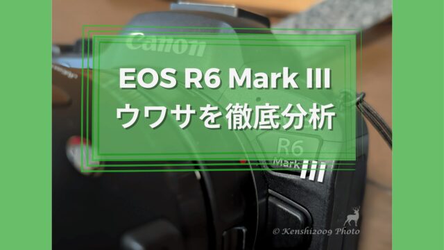 キヤノン EOS R6 Mark IIIは究極のハイブリッドカメラとなるか！？ ～噂の分析～